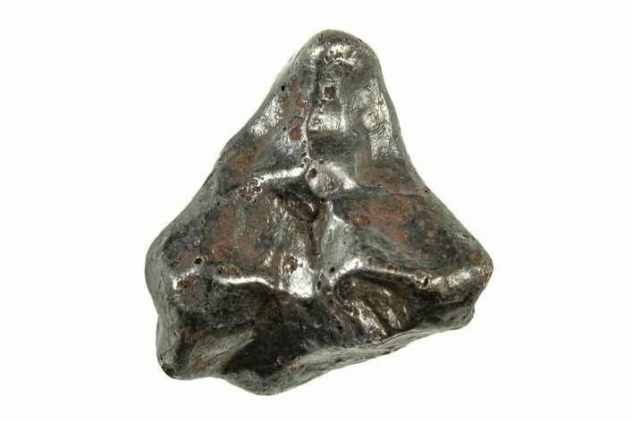 Fusion Crusted Sikhote-Alin Iron Meteorite ( g) - Russia #243170